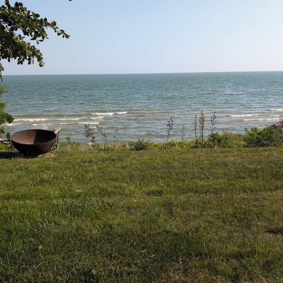 Meet your Posher, Olivia - Picture 1 of 5